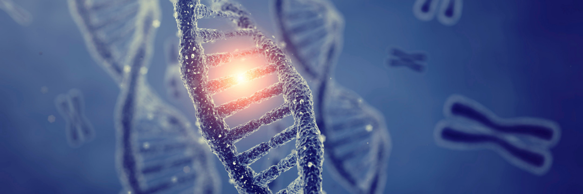 Bioengineering for Space Survival: What’s Next?
